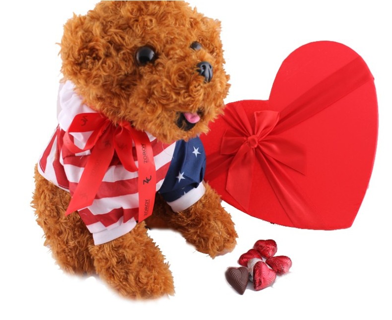 12_inch_dog_cuddly_with_a_heart_box_of_27_milk_chocolate_hearts